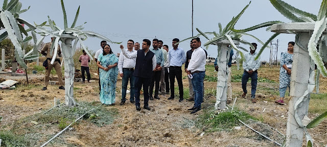 विकासकामांच्या पाहणी करिता जिल्हाधिकारी ”ऑनफिल्ड”