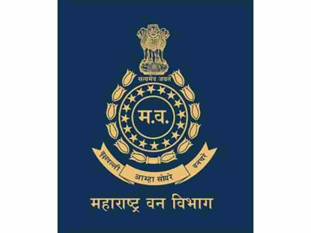 चंद्रपूर जिल्ह्यात तेंदूपत्ता संकलनासंदर्भात सुरक्षिततेच्या सूचना