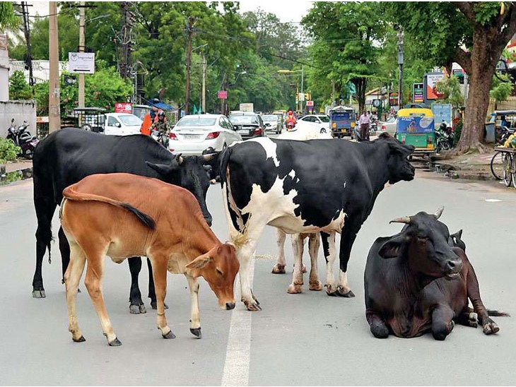 महामार्गावर रुग्णवाहिका व गस्ती पथके तैनात