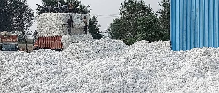 धक्कादायक: जिल्हा सहकार अधिकाऱ्याचा ‘अधिकारबाह्य’ प्रताप; अवैध जिनिंगला अभय दिल्याचा आरोप, आत्मदहनाचा इशारा