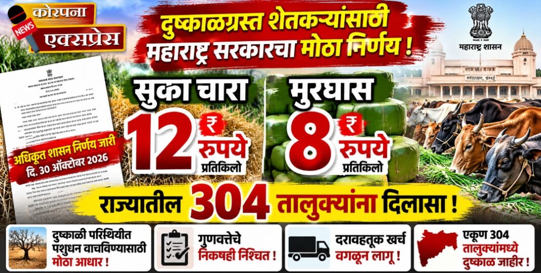 दुष्काळग्रस्त शेतकऱ्यांसाठी राज्य सरकारचा मोठा निर्णय! सुका चारा १२ रुपये, मुरघास ८ रुपये किलो दराने खरेदीला मंजुरी!
